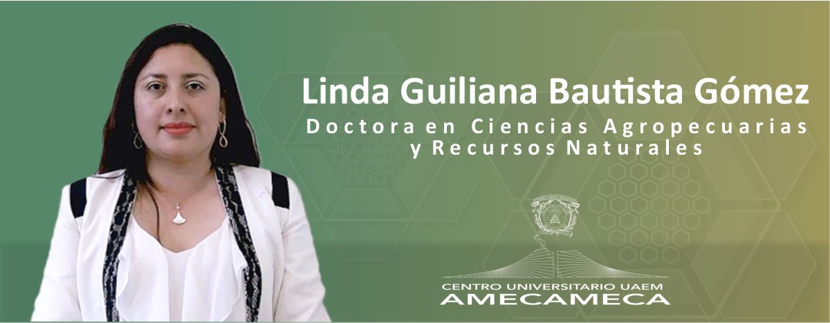 CA | Linda Bautista