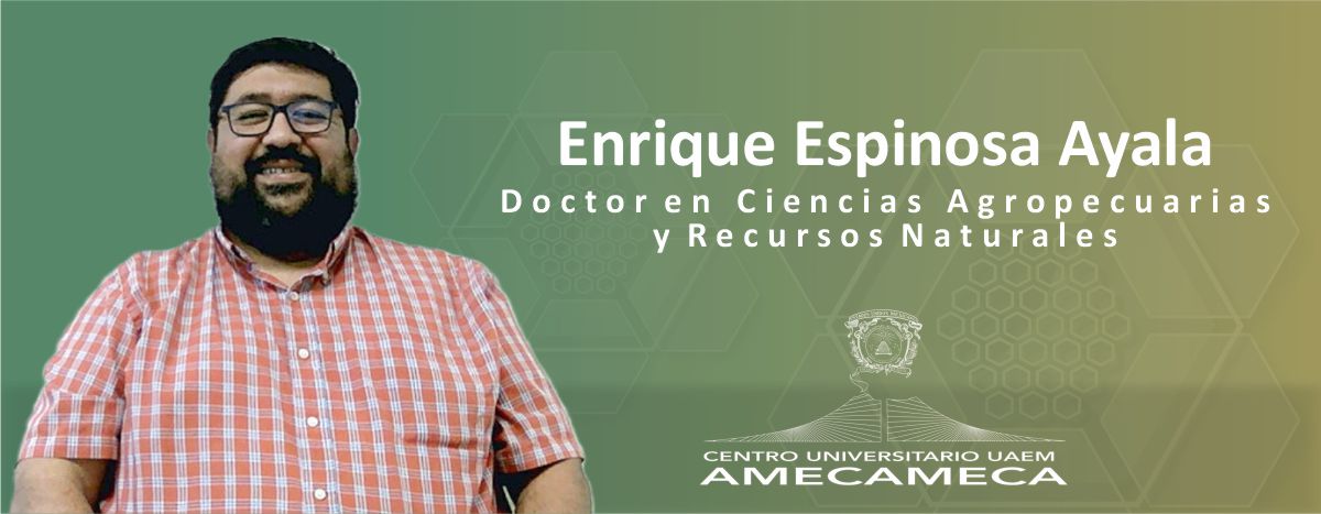 CA | Enrique Espinosa Ayala